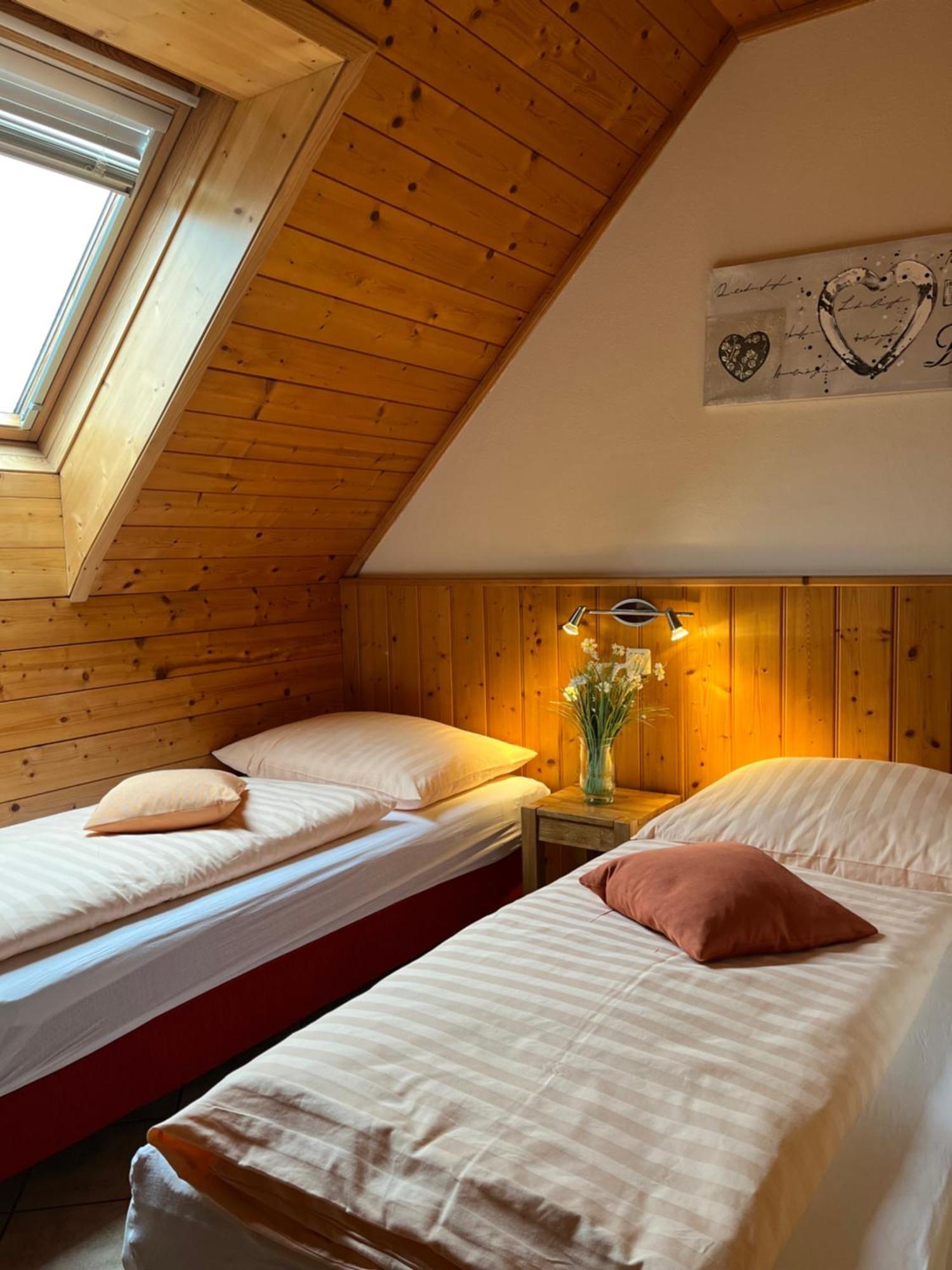Pension Kreischberg Mayer Санкт-Лоренцен-об-Мурау Экстерьер фото