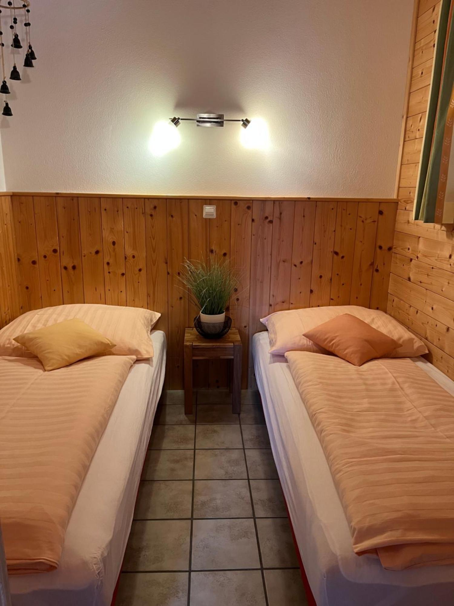 Pension Kreischberg Mayer Санкт-Лоренцен-об-Мурау Экстерьер фото